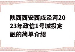 陕西西安西咸泾河2023年政信1号城投定融的简单介绍