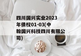 四川国兴实业2023年债权01-03(中翰国兴科技四川有限公司)