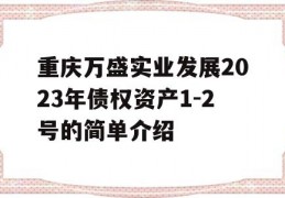 重庆万盛实业发展2023年债权资产1-2号的简单介绍