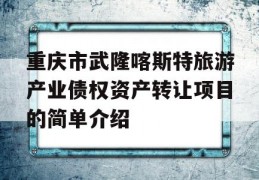 重庆市武隆喀斯特旅游产业债权资产转让项目的简单介绍