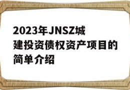 2023年JNSZ城建投资债权资产项目的简单介绍