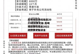 关于聊城民安2022年政府债定融（第一期）的信息