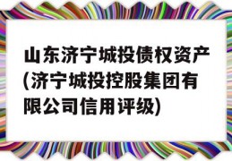 山东济宁城投债权资产(济宁城投控股集团有限公司信用评级)