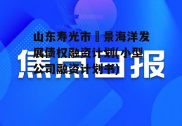 山东寿光市昇景海洋发展债权融资计划(小型公司融资计划书)