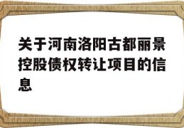 关于河南洛阳古都丽景控股债权转让项目的信息