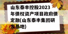 山东泰丰控股2023年债权资产项目政府债定融(山东泰丰集团研发基地)