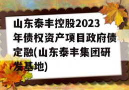 山东泰丰控股2023年债权资产项目政府债定融(山东泰丰集团研发基地)