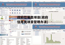 政府信用类项目(政府信用类项目管理办法)