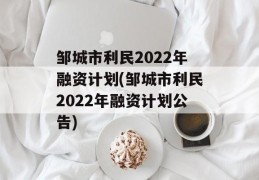 邹城市利民2022年融资计划(邹城市利民2022年融资计划公告)