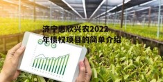 济宁惠欣兴农2022年债权项目的简单介绍