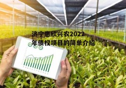 济宁惠欣兴农2022年债权项目的简单介绍