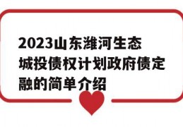 2023山东潍河生态城投债权计划政府债定融的简单介绍