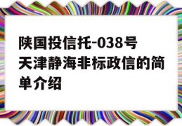 陕国投信托-038号天津静海非标政信的简单介绍