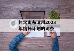 包含山东滨州2023年信托计划的词条