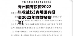 青州国有投资2022年收益权(青州国有投资2022年收益权交易)