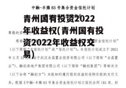 青州国有投资2022年收益权(青州国有投资2022年收益权交易)