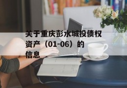 关于重庆彭水城投债权资产（01-06）的信息