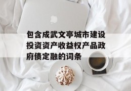 包含成武文亭城市建设投资资产收益权产品政府债定融的词条