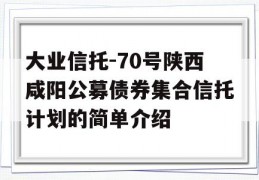 大业信托-70号陕西咸阳公募债券集合信托计划的简单介绍