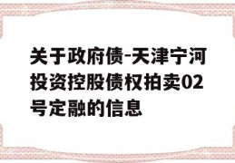 关于政府债-天津宁河投资控股债权拍卖02号定融的信息