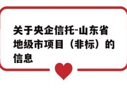 关于央企信托-山东省地级市项目（非标）的信息