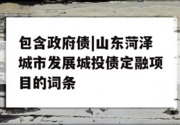 包含政府债|山东菏泽城市发展城投债定融项目的词条