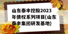 山东泰丰控股2023年债权系列项目(山东泰丰集团研发基地)