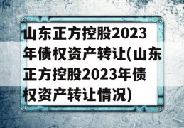 山东正方控股2023年债权资产转让(山东正方控股2023年债权资产转让情况)