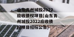 山东青州城投2022应收债权项目(山东青州城投2022应收债权项目招标公告)