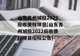 山东青州城投2022应收债权项目(山东青州城投2022应收债权项目招标公告)