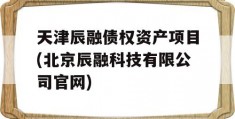 天津辰融债权资产项目(北京辰融科技有限公司官网)