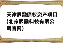 天津辰融债权资产项目(北京辰融科技有限公司官网)