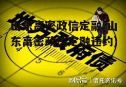 山东高密政信定融(山东高密政信定融违约)