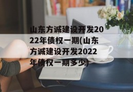 山东方诚建设开发2022年债权一期(山东方诚建设开发2022年债权一期多少)