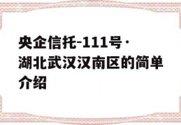 央企信托-111号·湖北武汉汉南区的简单介绍