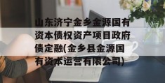 山东济宁金乡金源国有资本债权资产项目政府债定融(金乡县金源国有资本运营有限公司)