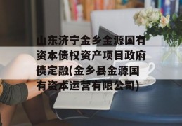 山东济宁金乡金源国有资本债权资产项目政府债定融(金乡县金源国有资本运营有限公司)