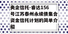 央企信托-睿达156号江苏泰州永续债集合资金信托计划的简单介绍