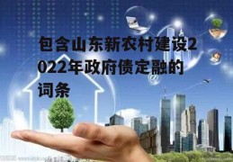 包含山东新农村建设2022年政府债定融的词条