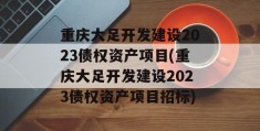 重庆大足开发建设2023债权资产项目(重庆大足开发建设2023债权资产项目招标)