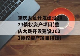 重庆大足开发建设2023债权资产项目(重庆大足开发建设2023债权资产项目招标)