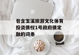 包含玉溪旅游文化体育投资债权1号政府债定融的词条