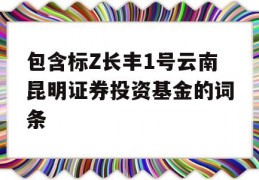 包含标Z长丰1号云南昆明证券投资基金的词条