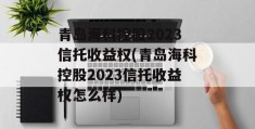 青岛海科控股2023信托收益权(青岛海科控股2023信托收益权怎么样)