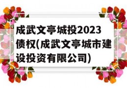 成武文亭城投2023债权(成武文亭城市建设投资有限公司)