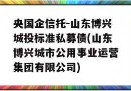 央国企信托-山东博兴城投标准私募债(山东博兴城市公用事业运营集团有限公司)