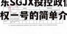 山东SGJX投控政信债权一号的简单介绍