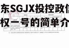 山东SGJX投控政信债权一号的简单介绍