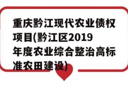 重庆黔江现代农业债权项目(黔江区2019年度农业综合整治高标准农田建设)