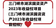 三门峡市湖滨国资资产2023年收益权项目(三门峡市湖滨国资资产2023年收益权项目招标)